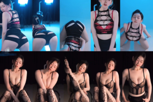 【斗鱼 黎一】大尺乳贴定制表情热舞 爆乳御姐 网袜长腿 身材超棒！(2V/5分12)